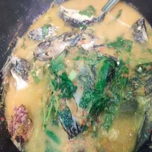 Resep Masakan Rumah Sederhana Screenshot 3