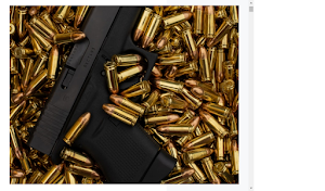 The Gun Laws - Legal Companion Screenshot 3