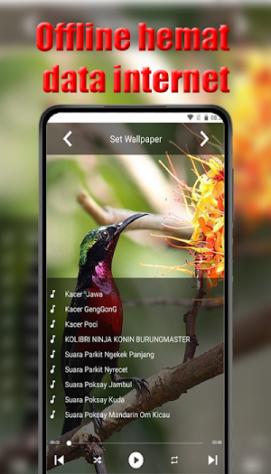 Suara burung masteran Screenshot 0