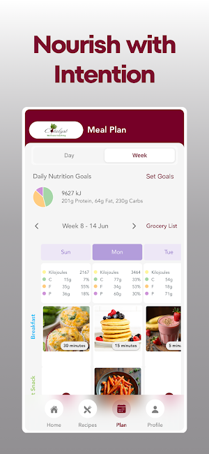 Catalyst Wellness Meal Planner Screenshot 2