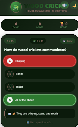 Wood  Magius Cricket Quiz Screenshot 2