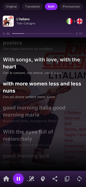 SongSense: Lyrics Translated Screenshot 0