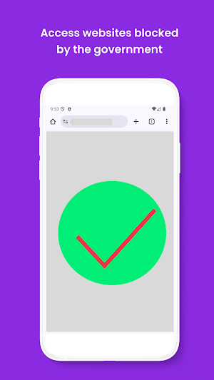 Crypt VPN : Unblock Websites Screenshot 0