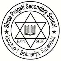Shree Pragati Sec School