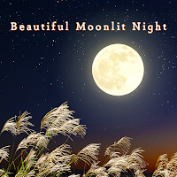 Beautiful Moonlit Night Theme