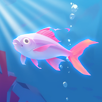 Aquarium Fever