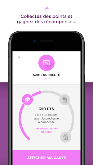 Delphine Fleurs Screenshot 0