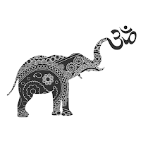 Lucky Elephant Yoga & Wellness