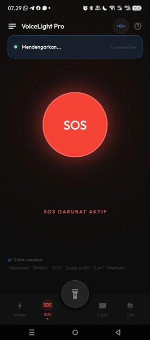 Voice Light Pro Screenshot 1