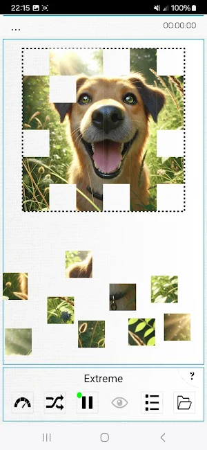 Pics Puzzles Pro Screenshot 2