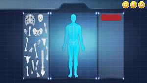 Human Body Screenshot 1