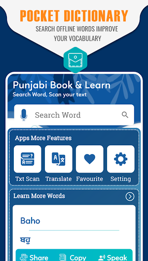 English to Punjabi Dictionary & Punjabi Translator Screenshot 0