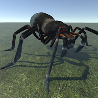 Spiders