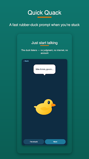 Explain bugs to a duck Screenshot 1