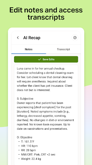 AI Recap Screenshot 2