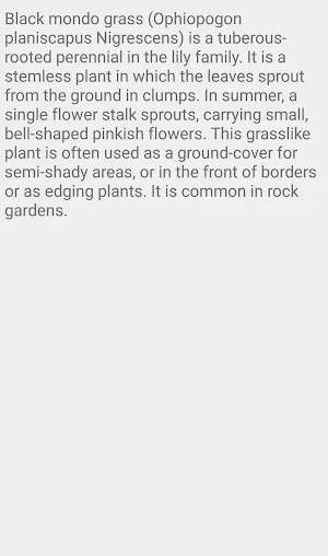 Black Mondo Grass Screenshot 2