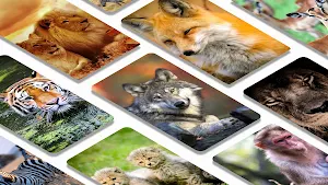Wild animal wallpapers 4K Screenshot 1
