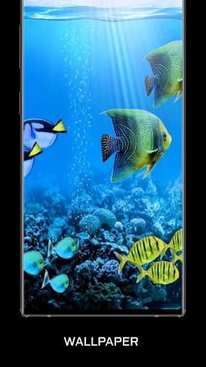 Water Garden Wallpaper Screenshot 1
