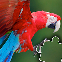 Kids animal jigsaw puzzles