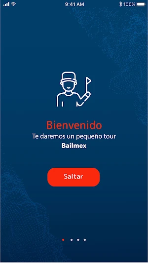 Bailmex Screenshot 1