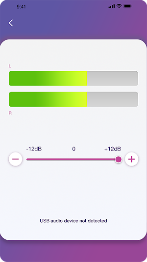 Plug & Rec Screenshot 3