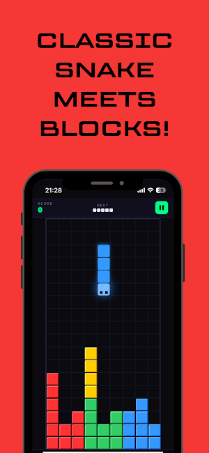 Snetris: Snakes & Blocks Screenshot 0