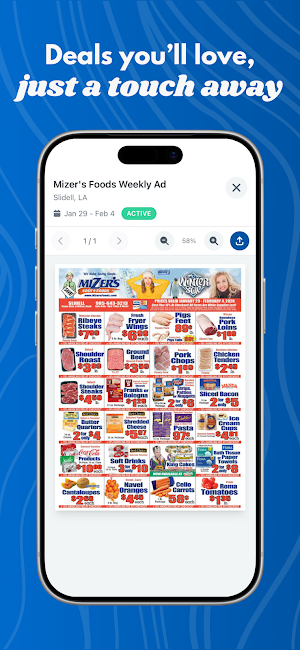 Mizer's Foods Screenshot 2