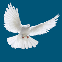 Open Heavens Devotional