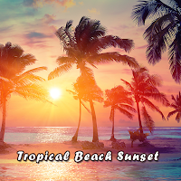 Summer Wallpaper Tropical Beach Sunset Theme