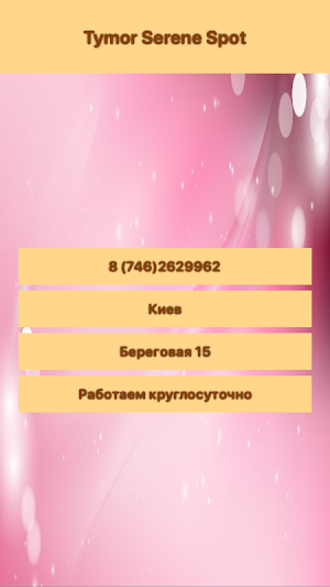 winspirit Screenshot 2