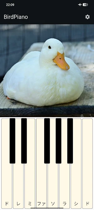 Singing Duck & Bird Piano Screenshot 0