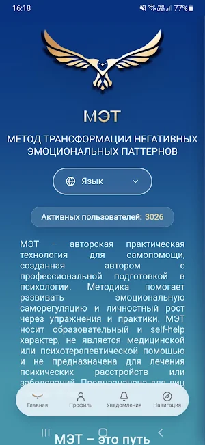 MET Screenshot 0