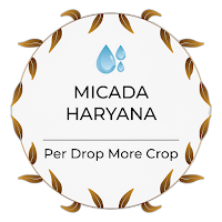MICADA