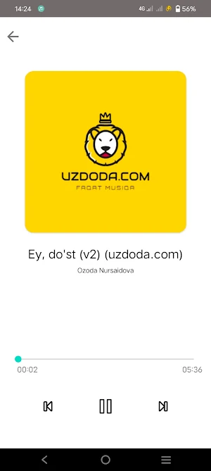 Music app Screenshot 3