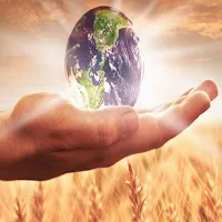 Mastering Abundance (Pro)