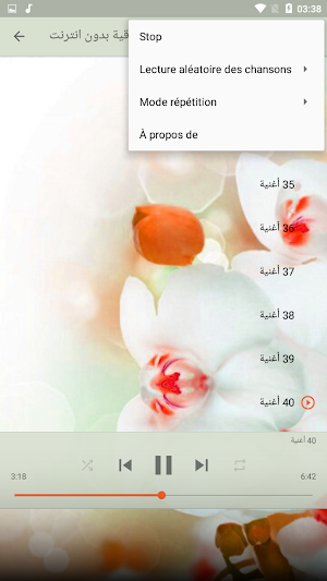 كوكتيل اغاني عراقيه قديمه بدون نت arani iraqiya Screenshot 3