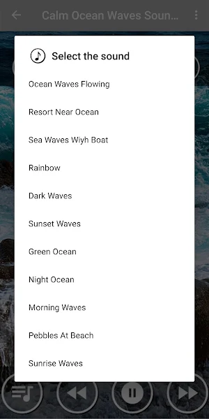 Relaxing Oceans Waves Sound for Study & Meditation Screenshot 1
