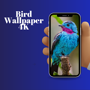 Bird Wallpaper 4K Screenshot 1