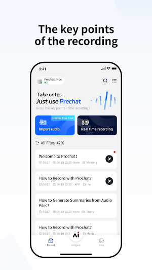 WitCEO Screenshot 0