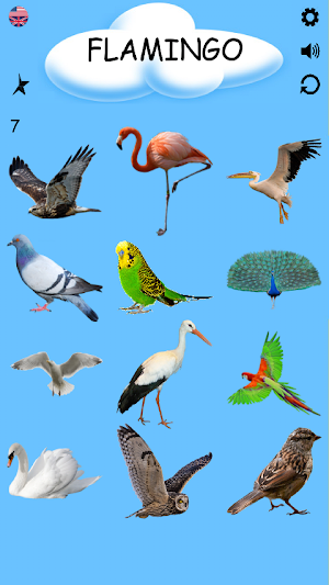 Birds - Learning Birds Screenshot 3