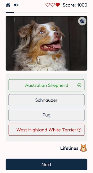 Dog Breeds Quiz Screenshot 2
