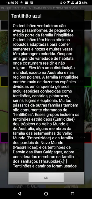 Gavião carijó e a voz das aves Screenshot 2