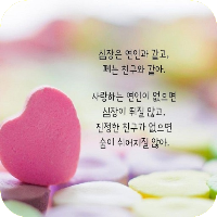 사랑 이미지