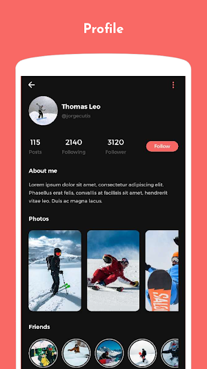Ski Montana Theme Screenshot 2