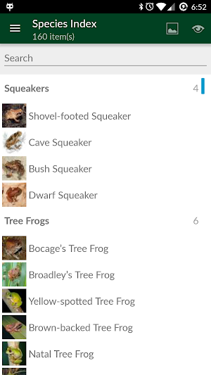 Frogs of Southern Africa Screenshot 0