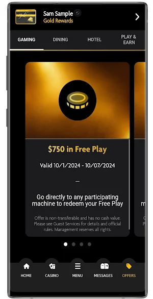 Buffalo Run Casino & Resort Screenshot 3