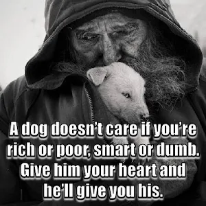 Animal Lover Quotes - Dog Lover Status - Cat Love Screenshot 0