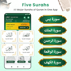 Surah Yaseen Audio Mp3 Offline Screenshot 1