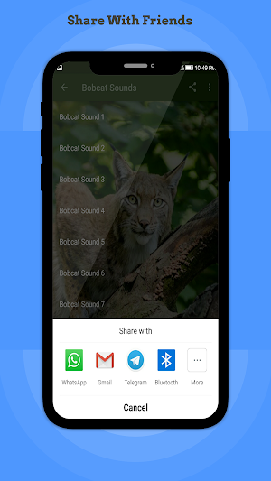 Bobcat Sounds Screenshot 3