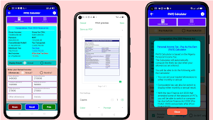 Nigeria Tax Pad Screenshot 1